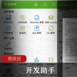 开发助手高级版